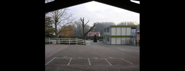 La cour